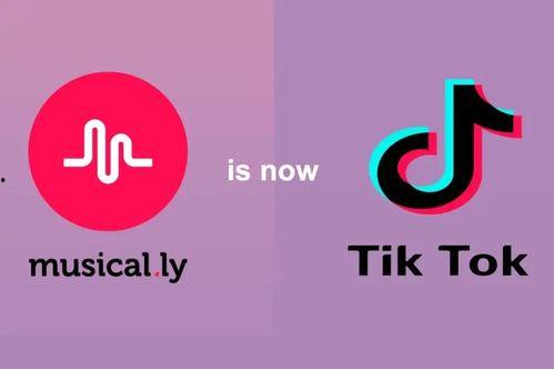 海外短视频tiktok,潮流文化的新风向标